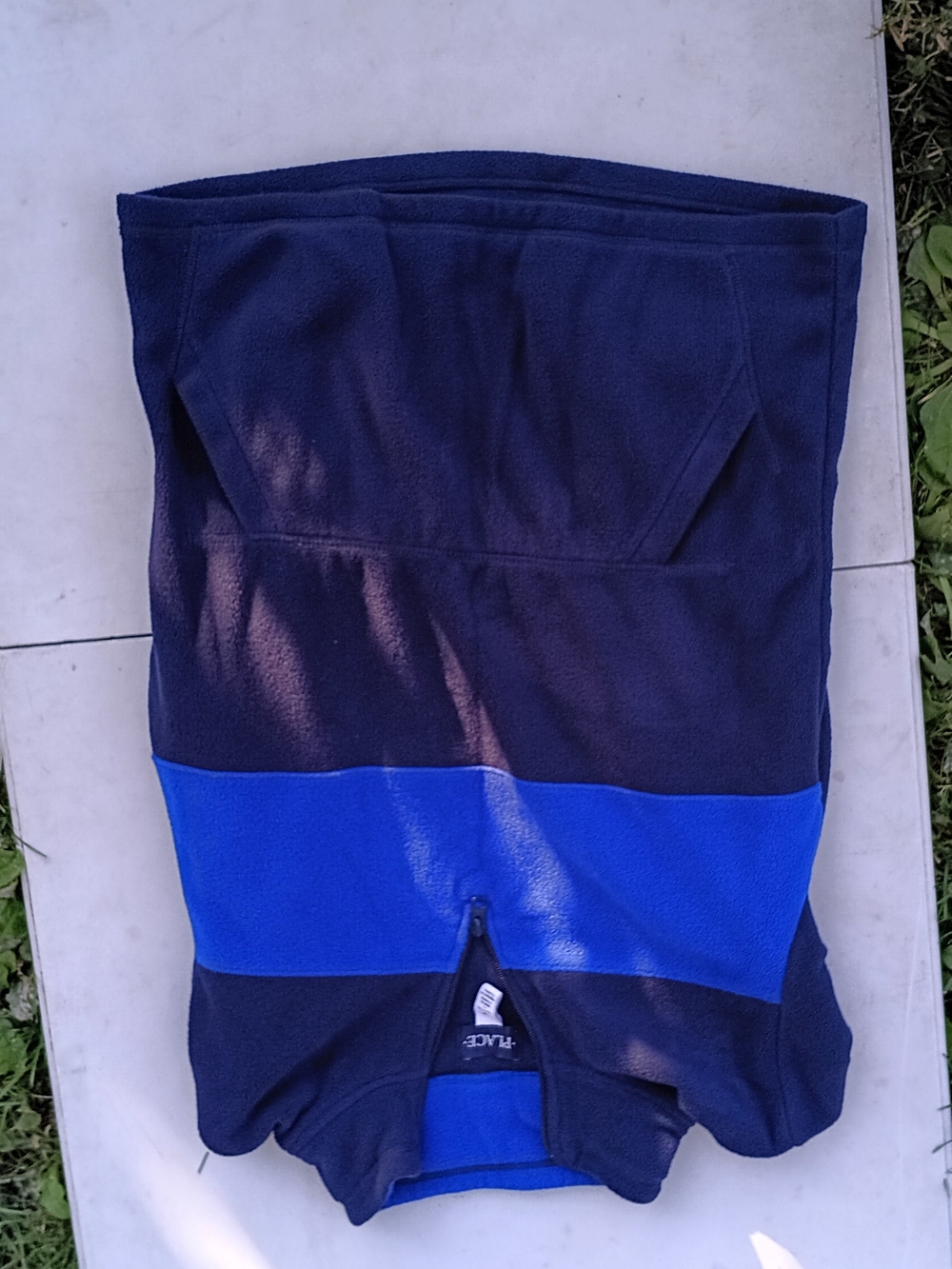 Place Men's Dark Navy and Bright Royal Blue Athletic Shorts
